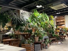 -自由生长植物工作室(深港花卉中心店)
