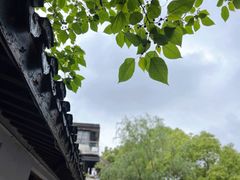 -竹子咖啡bamboo coffee