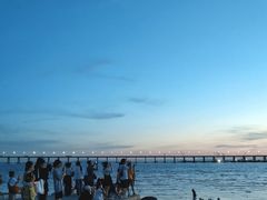 -宝安西湾红树林湿地公园