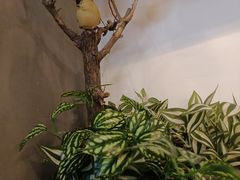 -湘当爱·鲜煮现炒(松岗立业路店)