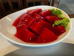 鲜鸭血-晓宇重庆火锅(赛格国际购物中心店)