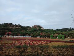 -丹樱生态园