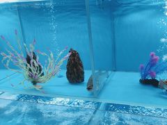 -怡咖啡·自助餐·西安香格里拉