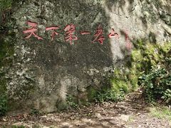 -王顺山国家森林公园