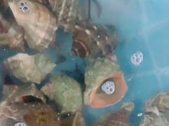 -宾朋海鲜特色美食餐厅·纯手工鲅鱼水饺(兴海路店)