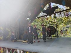 -西双版纳原始森林公园