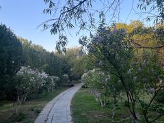 -东升八家郊野公园