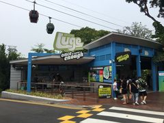 -圣淘沙天际线斜坡滑车