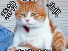 -重庆乌鱼庄·龙滋鲜(青羊大道店)
