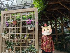-南山植物园