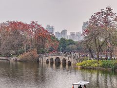 -东山湖公园