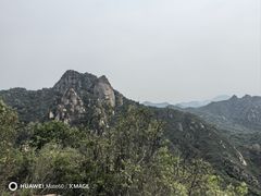 -大岭沟猕猴桃谷风景区