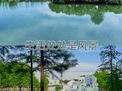 -尚湖风景区
