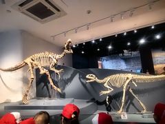 -自贡恐龙博物馆