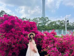 -海心沙亚运公园