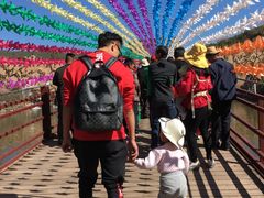 -世界恐龙谷景区