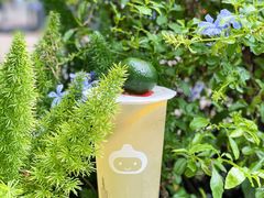 -咕噜咕噜·章鱼小丸子(广州荔湾领展广场店)