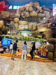 -卡通尼·Safari非洲探索乐园·生日会(金桥国际商业广场店)