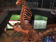 -墨尔本博物馆(Melbourne Museum)