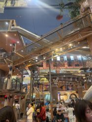 -卡通尼·Safari非洲探索乐园·生日会(金桥国际商业广场店)