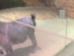 -正佳雨林生态植物园