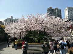 -上海体育场(地铁站)