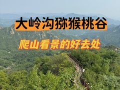 -大岭沟猕猴桃谷风景区