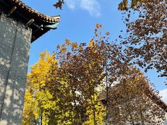 -四川大学(华西校区)