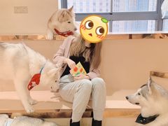-Husky Go! 哈士奇体验馆·宠物咖啡厅狗咖