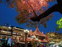 -豫园