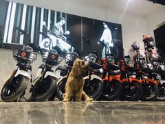 -雅迪电动车(北艾路店)
