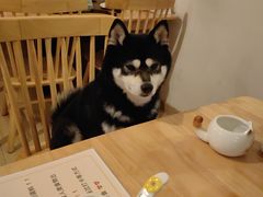 -柴の食堂·日式家庭料理·熊之肆(大学路店)