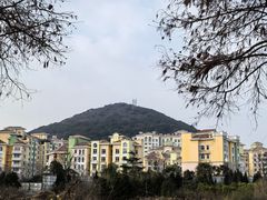 -平湖九龙山旅游度假区