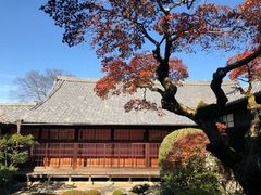 景点-醍醐寺