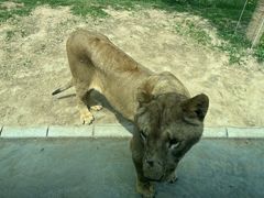 -北京野生动物园