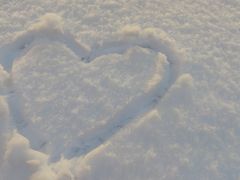 -半天妖烤鱼(方庄店)