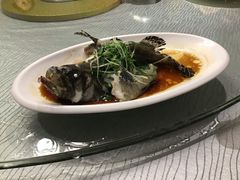 -强记海鲜·大排档(蛇口新街店)