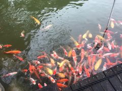 -万佛湖风景区