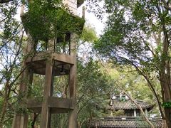-蒋氏故居