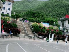 -王顺山国家森林公园
