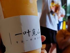 -一叶觅山(半边街店)