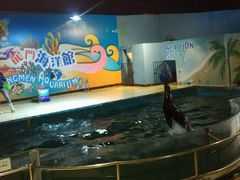 -洛阳龙门海洋馆