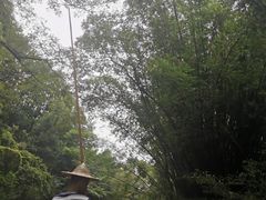 -九曲溪