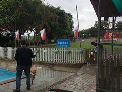 -良成狗狗乐园