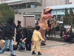 -台场海滨公园船码头