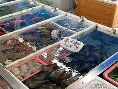 -南沙十九涌渔人码头-南门