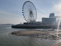 -琴岛之星摩天轮