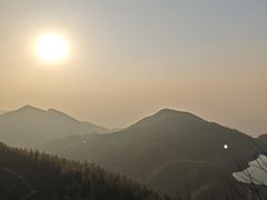 -长沙黑麋峰国家森林公园