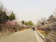 -北京鹫峰国家森林公园