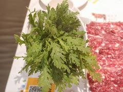 -犇鼎牛潮汕牛肉火锅(新辰里学清路店)